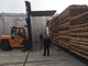 Πλήρως αυτόματο κλίβανο ταχείας ξηρασίας ξύλου για μαλακό ξύλο 30 - 150m3 χωρητικότητα